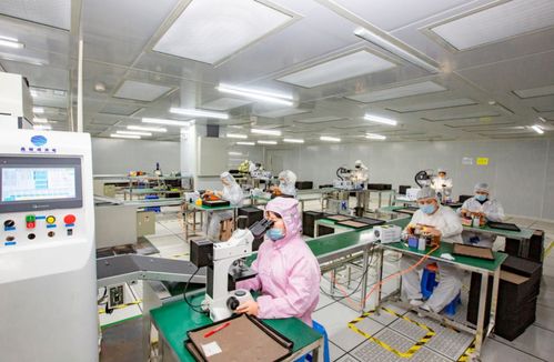 奮進(jìn)在春光里 電子信息產(chǎn)業(yè)滿園春色，信息技術(shù)咨詢服務(wù)賦能向海圖強(qiáng)